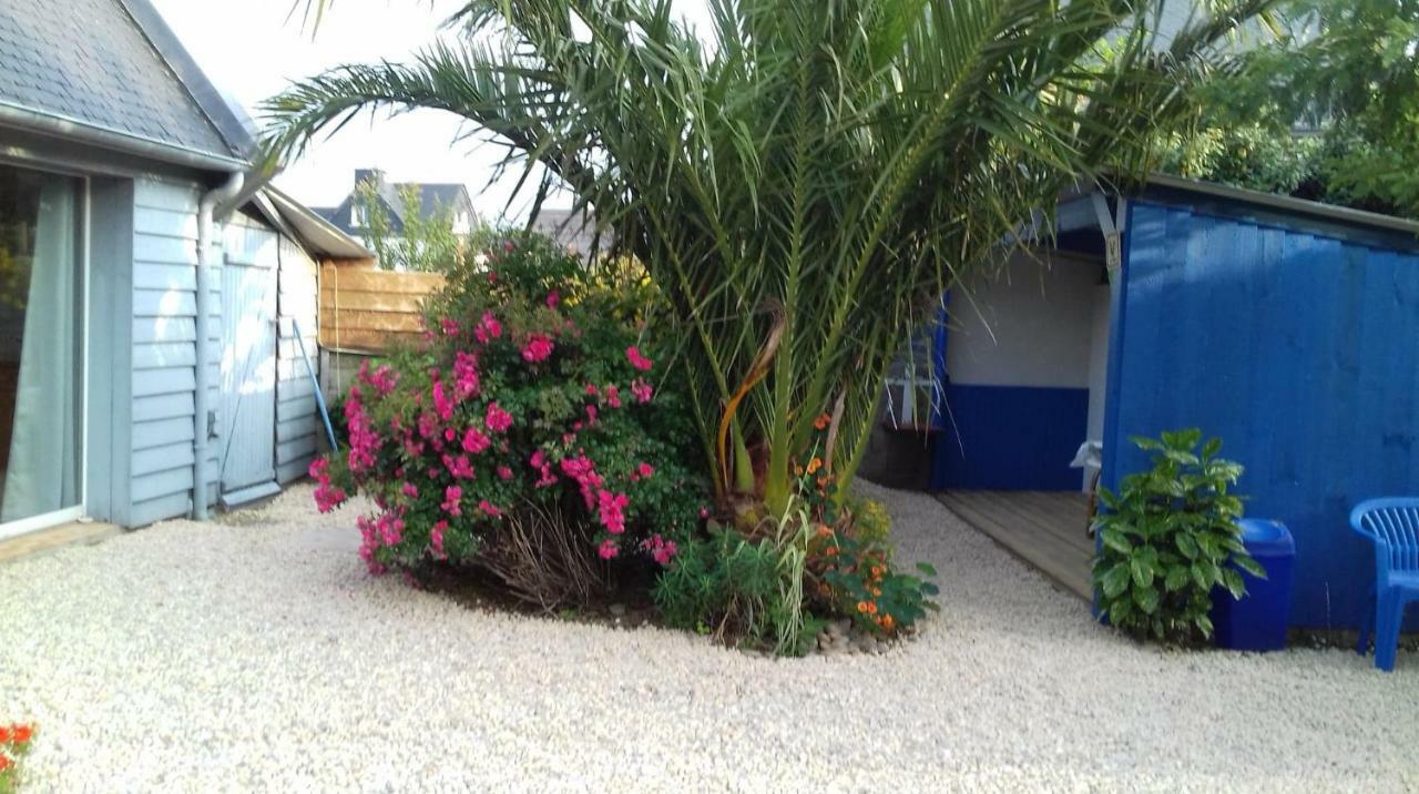 Trélévern Le Petit Cottage Entre Village Et Mer المظهر الخارجي الصورة