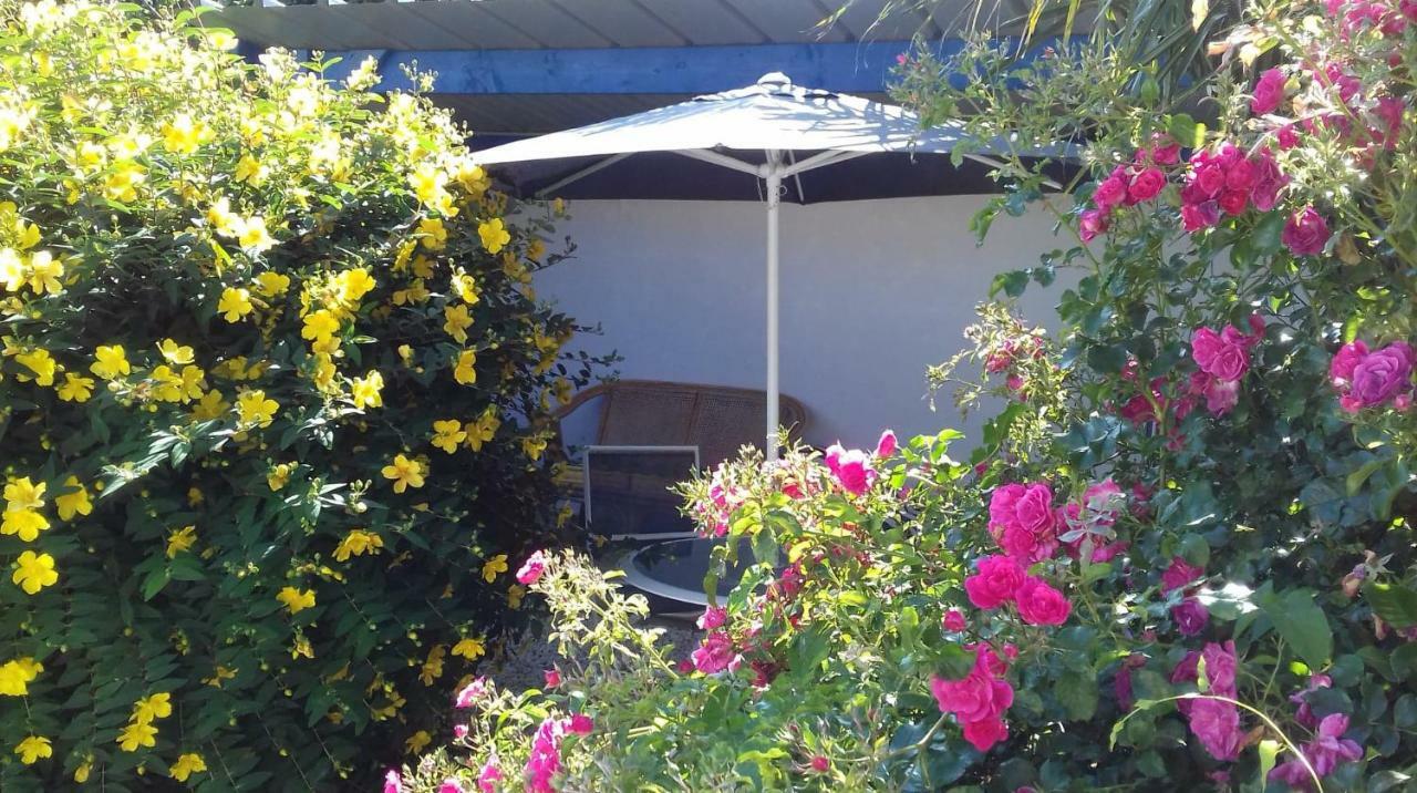 Trélévern Le Petit Cottage Entre Village Et Mer المظهر الخارجي الصورة