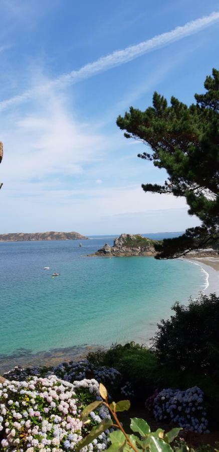 Trélévern Le Petit Cottage Entre Village Et Mer المظهر الخارجي الصورة