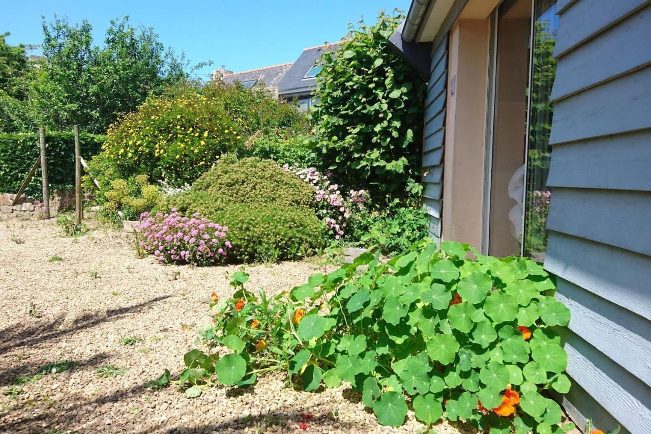 Trélévern Le Petit Cottage Entre Village Et Mer المظهر الخارجي الصورة